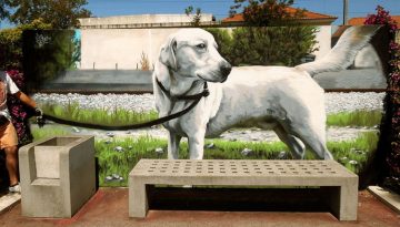 Passeio ribeirinho Vila Franca a Alhandra 9